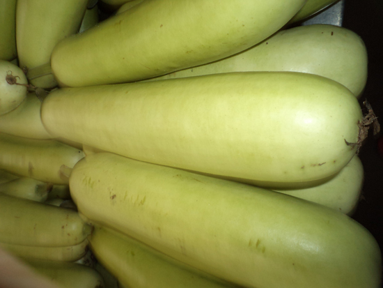 Bottle Gourd Soup for Anemia