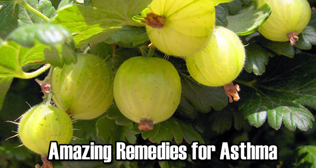 Home Remedies for Asthma