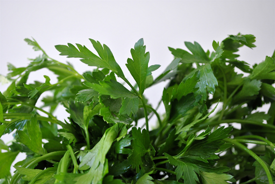 Parsley for Anemia