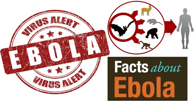 Ebola Virus Facts