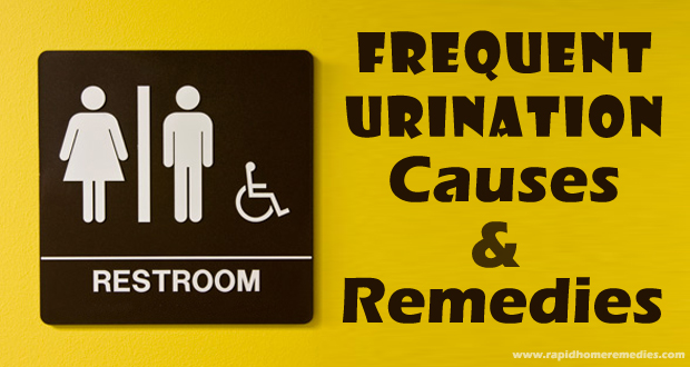 Frequent Urination in Men and Women: Causes & Treatments