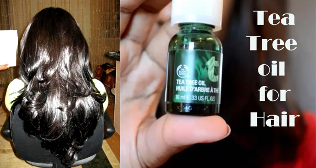 Tea Tree Oil For Hair Growth