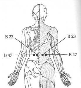 B 23 and B 47 Acupressure