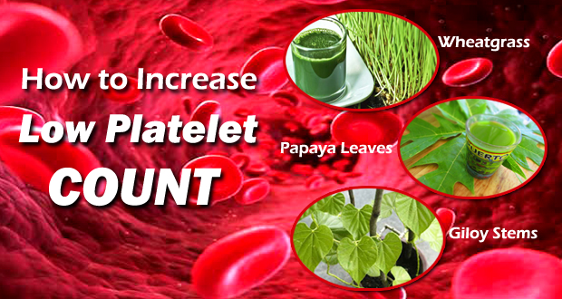 Increase a Low Platelet Count