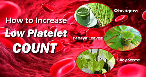 How to Increase a Low Platelet Count