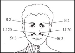 acupressure points for blocked nose